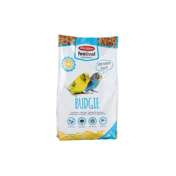 BF Festival Exclusive 1kg Budgie