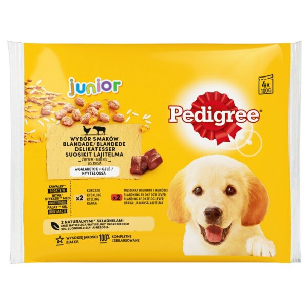 Pedigree Junior annospussi lajitelma 4x100g