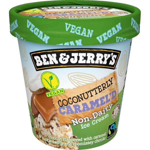 Ben & Jerry's jäätelö 465ml Non Dairy Coconutterly Caramel'd 416g