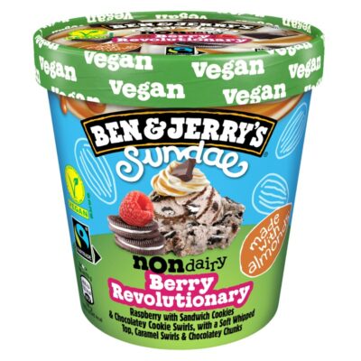 Ben&Jerry's 465ml pint Non-Dairy Sundae